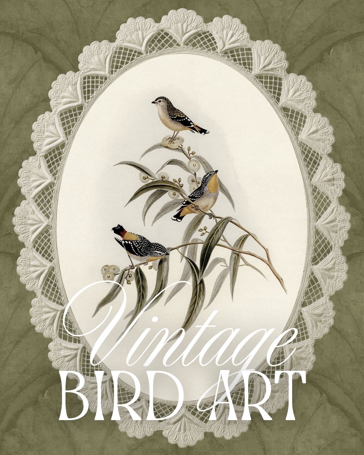 Vintage bird art collection featuring antique bird illustrations, printable wall art, aesthetic wallpapers, and natural history artwork.