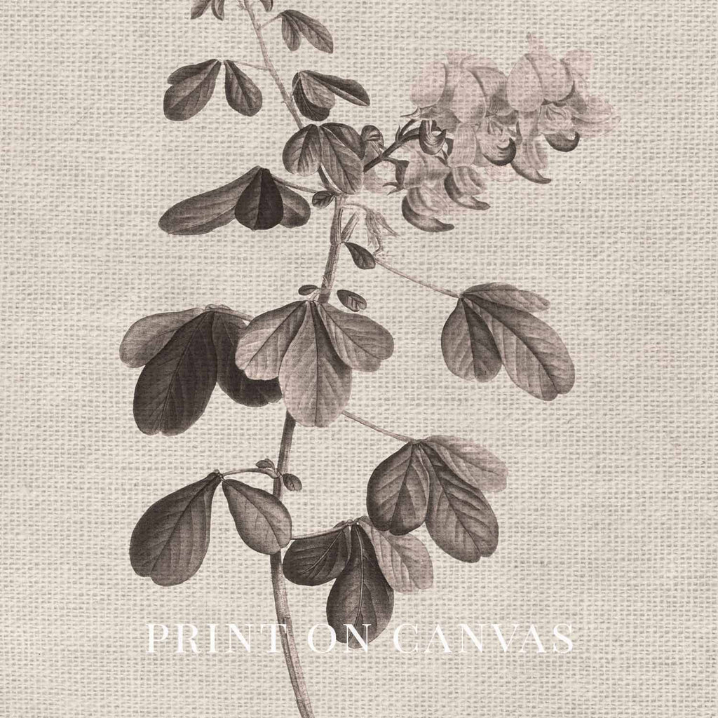 Neutral Botanical Pencil Drawing Wall Art Print Digital Download – Antique Moody Floral Illustration Printable Wall Art