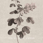 Neutral Botanical Pencil Drawing Wall Art Print Digital Download – Antique Moody Floral Illustration Printable Wall Art