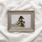 Minimal Rustic Sequoia Tree Printable Wall Art