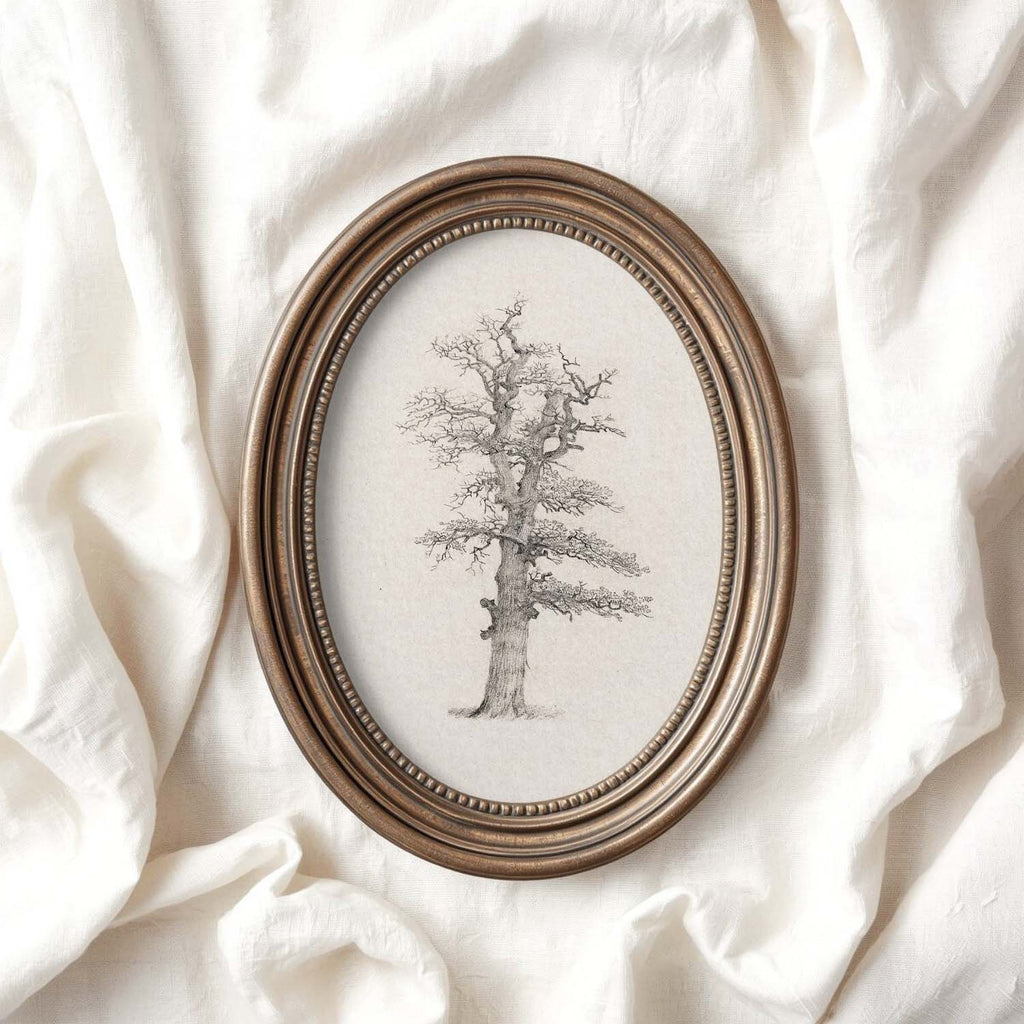 Winter Oak Tree Wall Art Printable | Antique Minimal Pencil Sketch Print