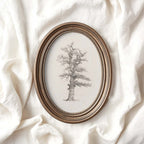 Winter Oak Tree Wall Art Printable | Antique Minimal Pencil Sketch Print