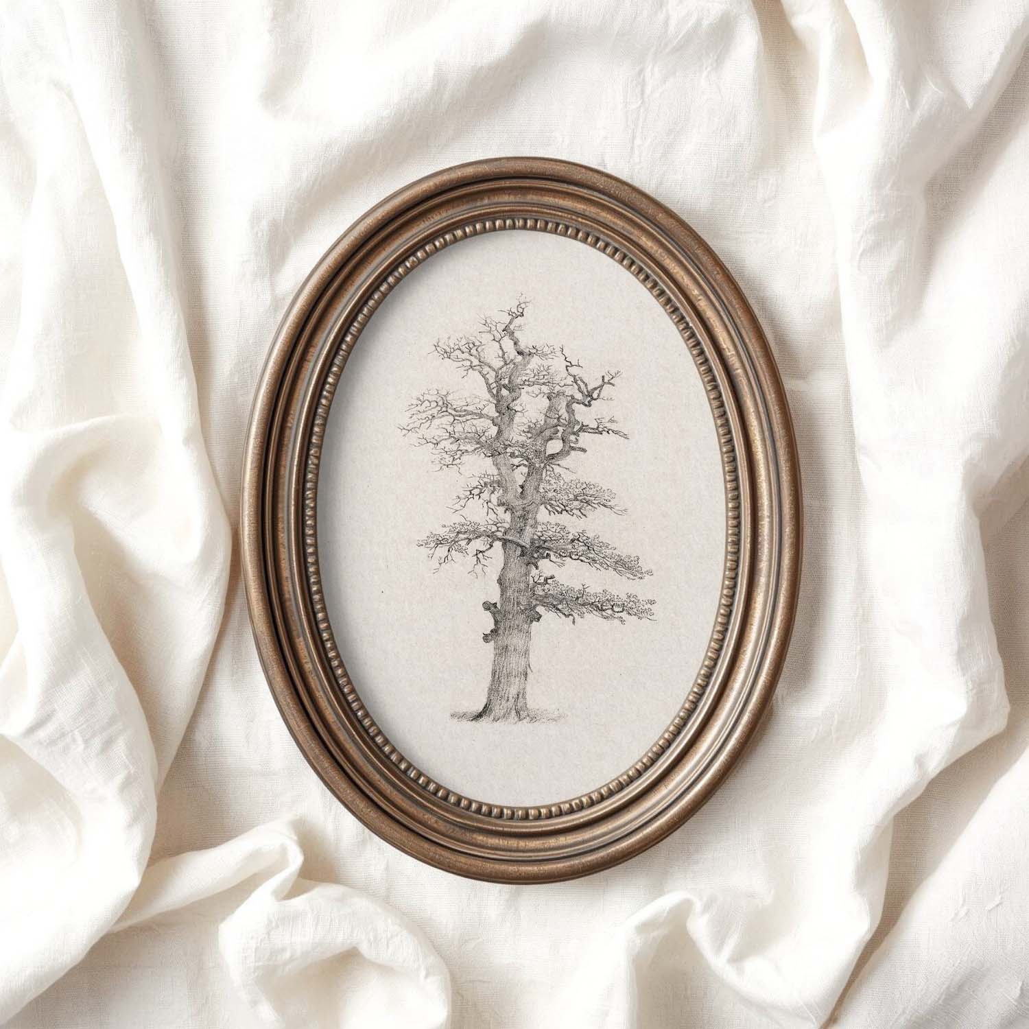 Winter Oak Tree Wall Art Printable | Antique Minimal Pencil Sketch Print