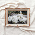 Five White Ducks Bird Print Digital Download (Antique Farmhouse Oil Painting Wall Art)