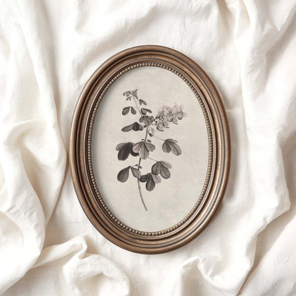 Neutral Botanical Pencil Drawing Wall Art Print Digital Download – Antique Moody Floral Illustration Printable Wall Art