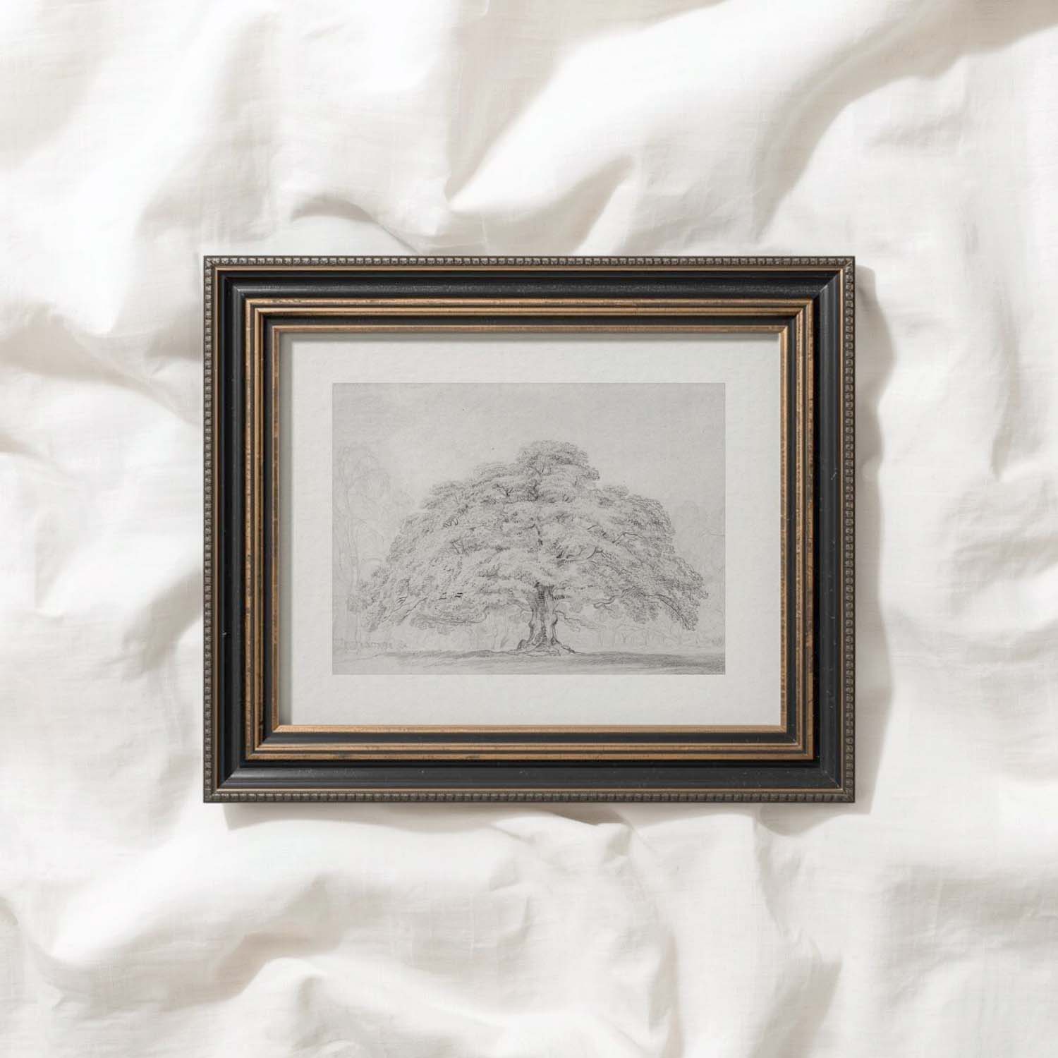 Horizontal Oak Tree Landscape Wall Art Printable | Antique Pencil Sketch Print