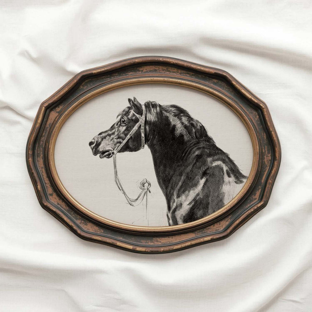 Black Horse Portrait Sketch Wall Art Printable – Antique Equestrian Study Illustration | Dark Academia Horse Decor Print