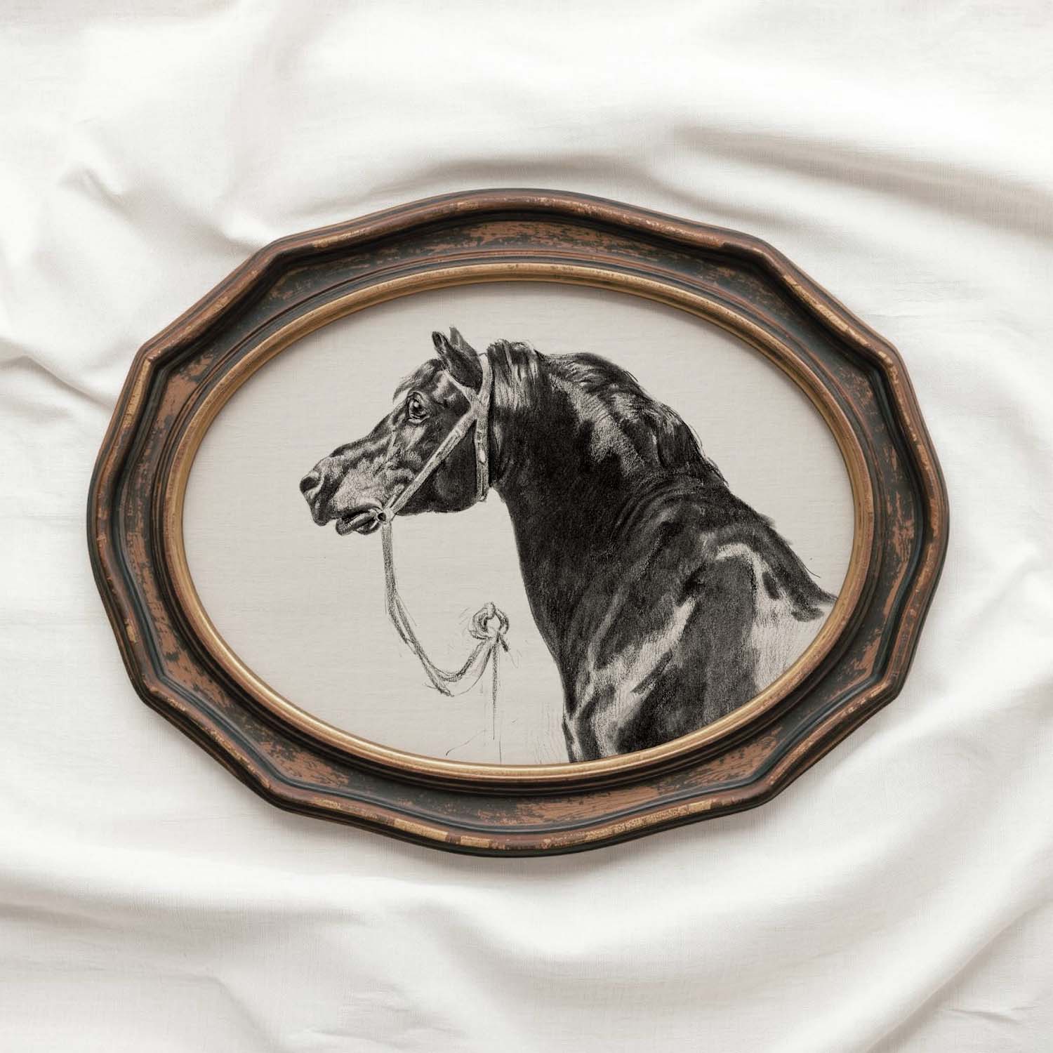 Black Horse Portrait Sketch Wall Art Printable – Antique Equestrian Study Illustration | Dark Academia Horse Decor Print