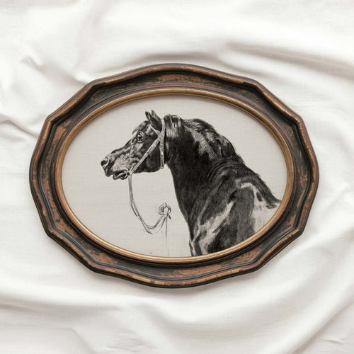 Black Horse Portrait Sketch Wall Art Printable – Antique Equestrian Study Illustration | Dark Academia Horse Decor Print