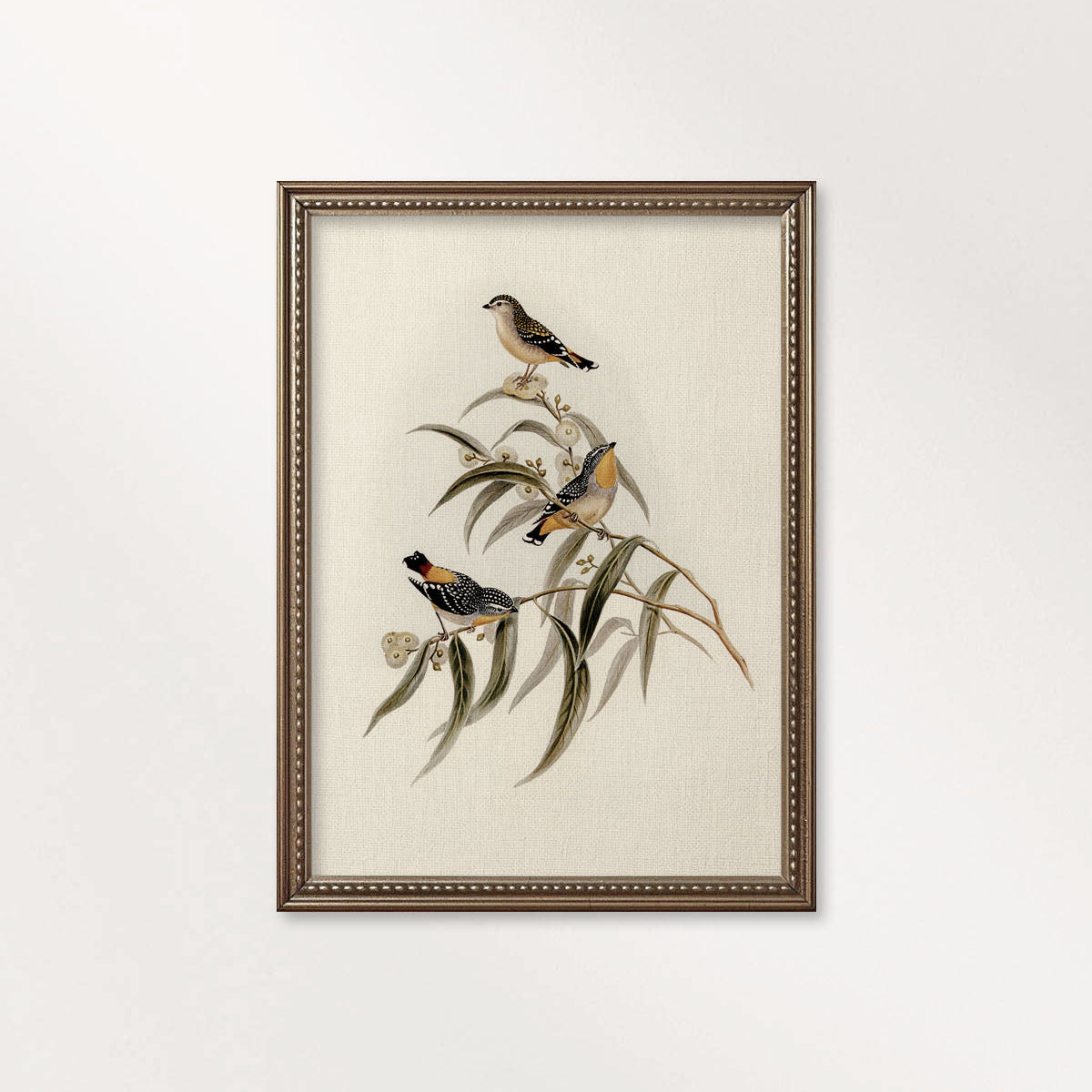 Yellow-Rumped Pardalote Vintage Bird Print Digital Download (Songbird Cottagecore Wall Art)