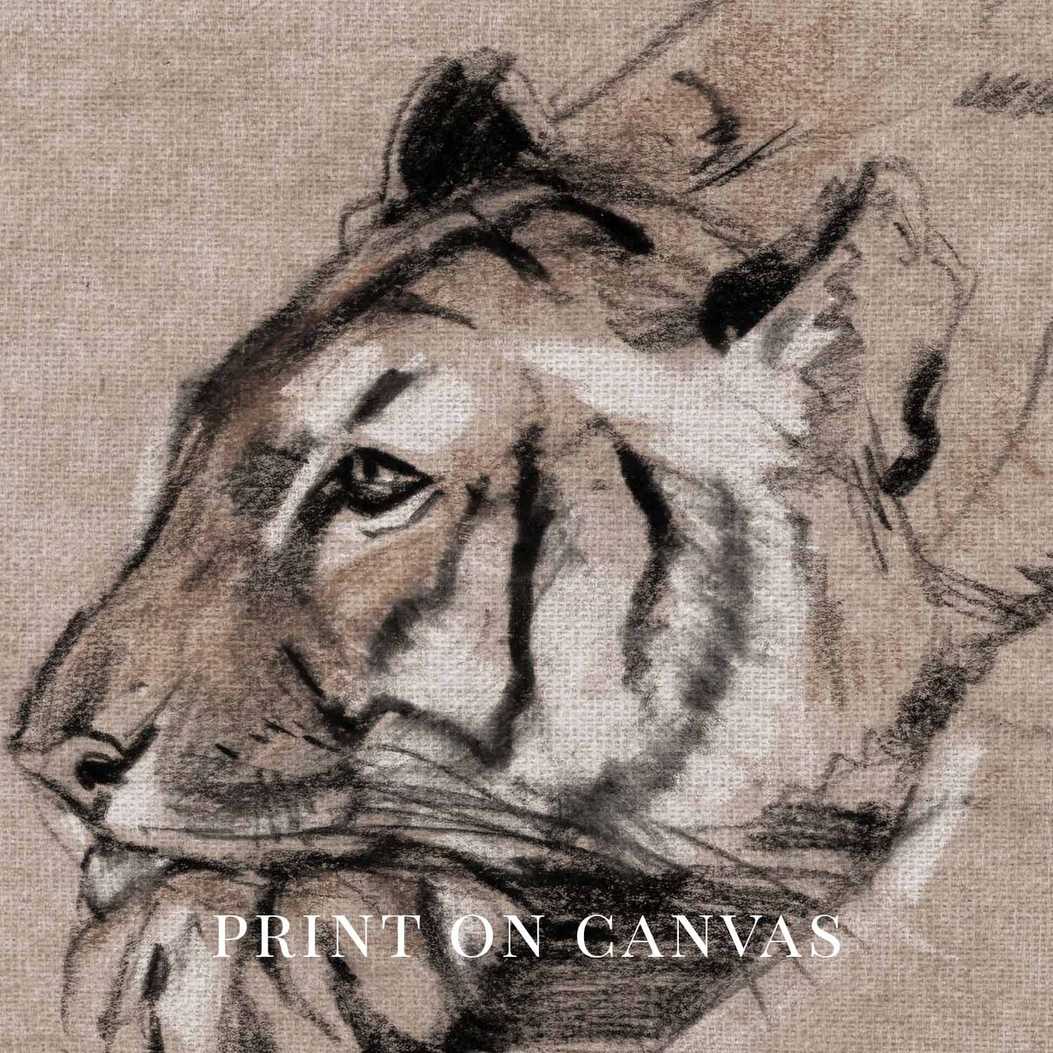 Tiger Portrait Wall Art Printable | Antique Pencil Sketch Wildlife Print
