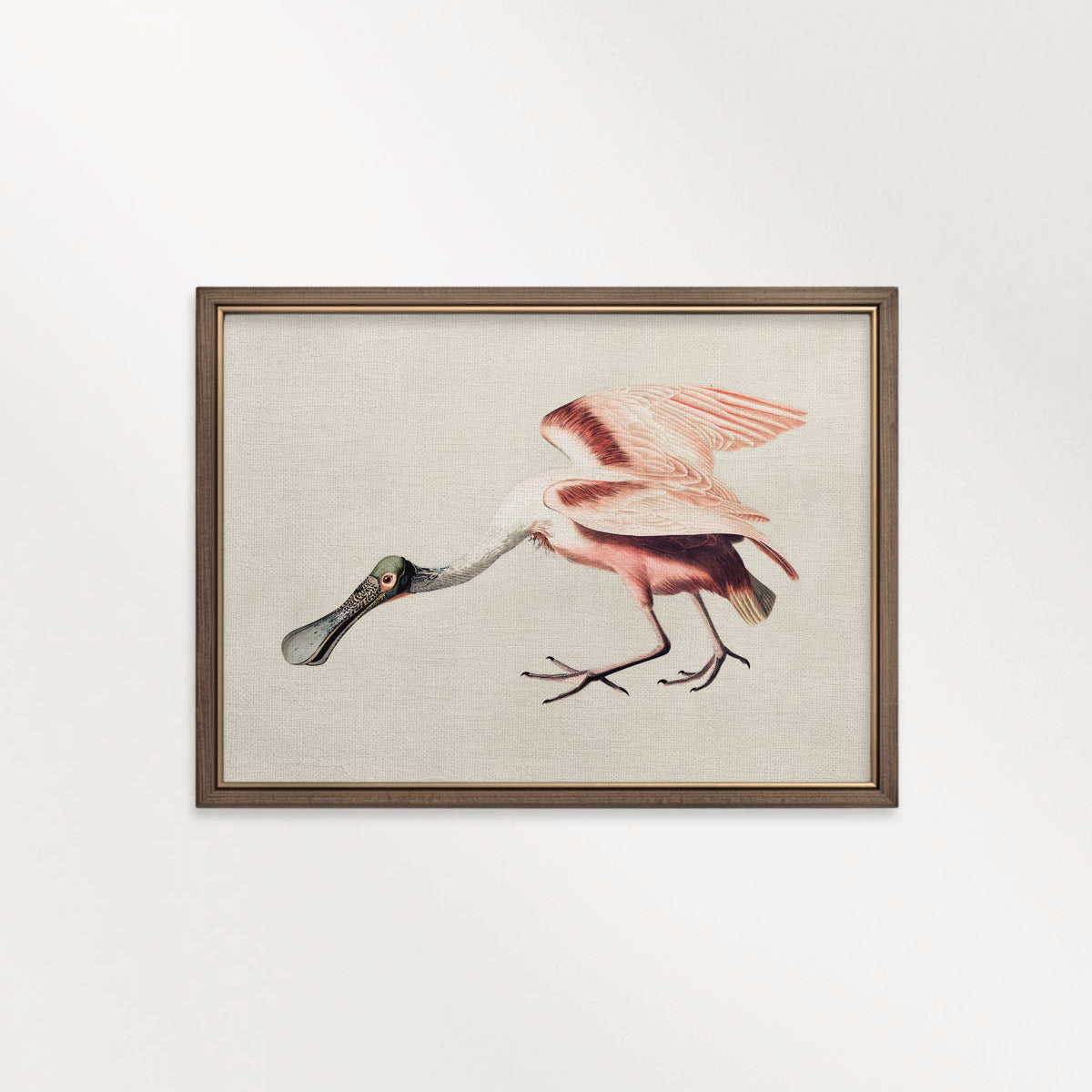Roseate Spoonbill Bird Print Digital Download (Antique Natural History Illustration Wall Art)