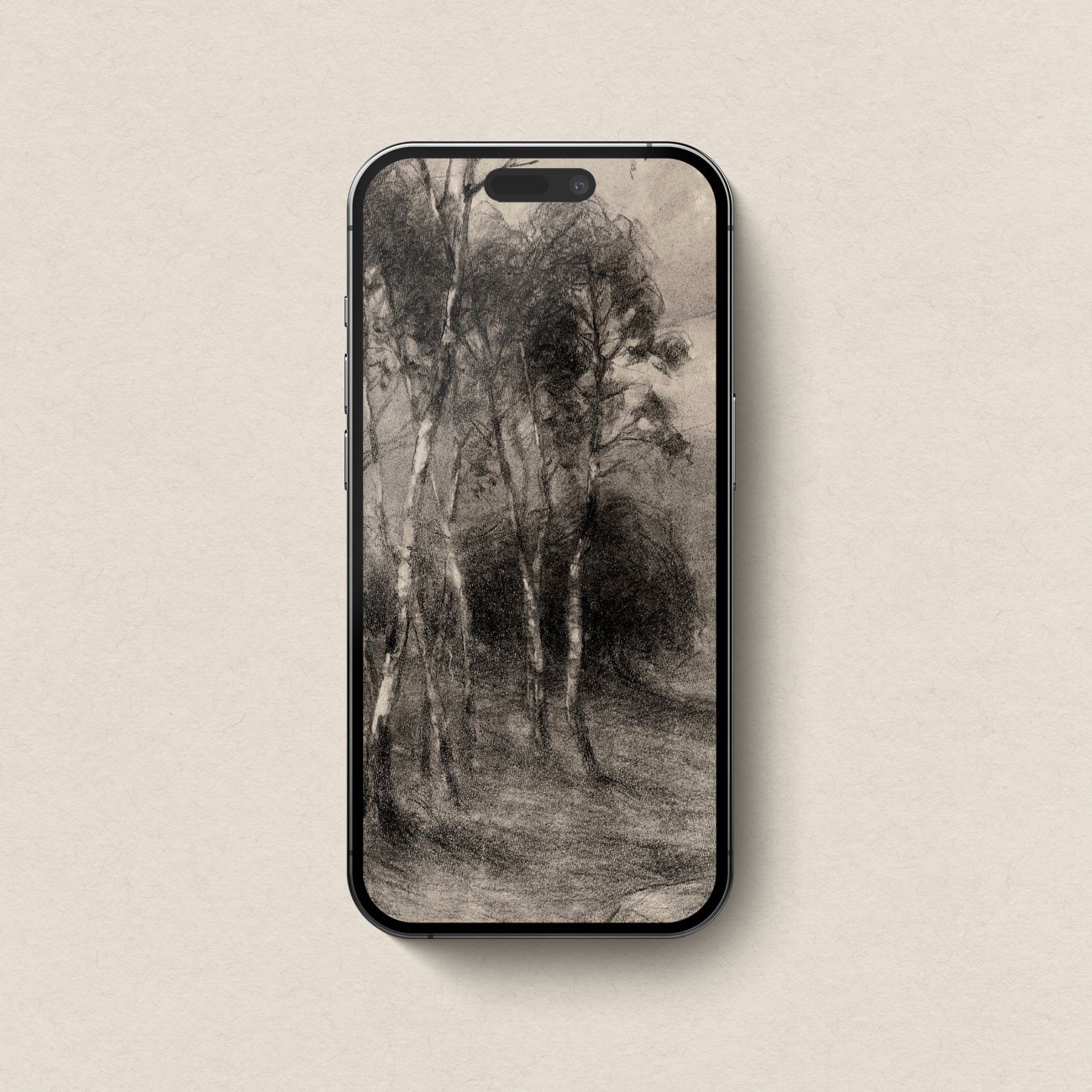Charcoal Birch Tree Wallpaper Set | iPhone & iPad Minimal Monochrome Forest
