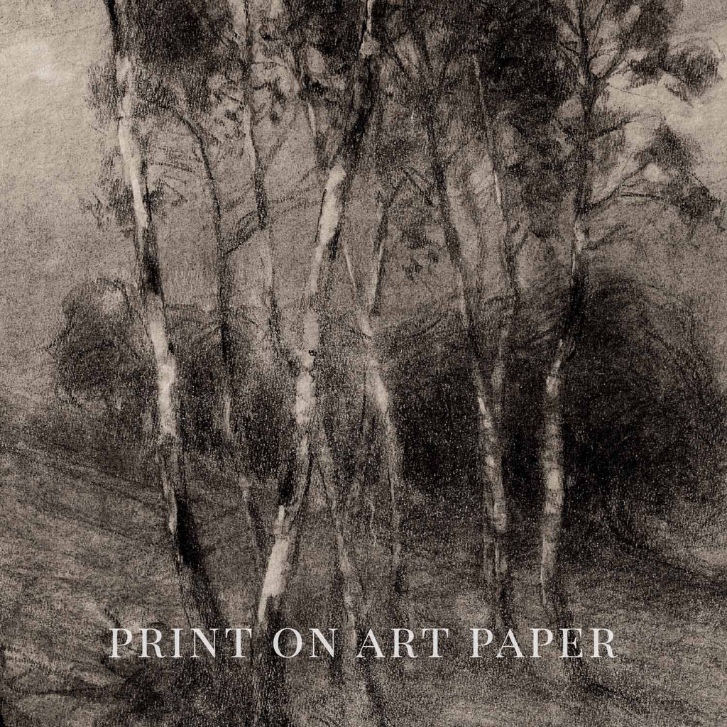 Charcoal Birch Tree Wall Art Printable | Minimal Black Forest Sketch Print