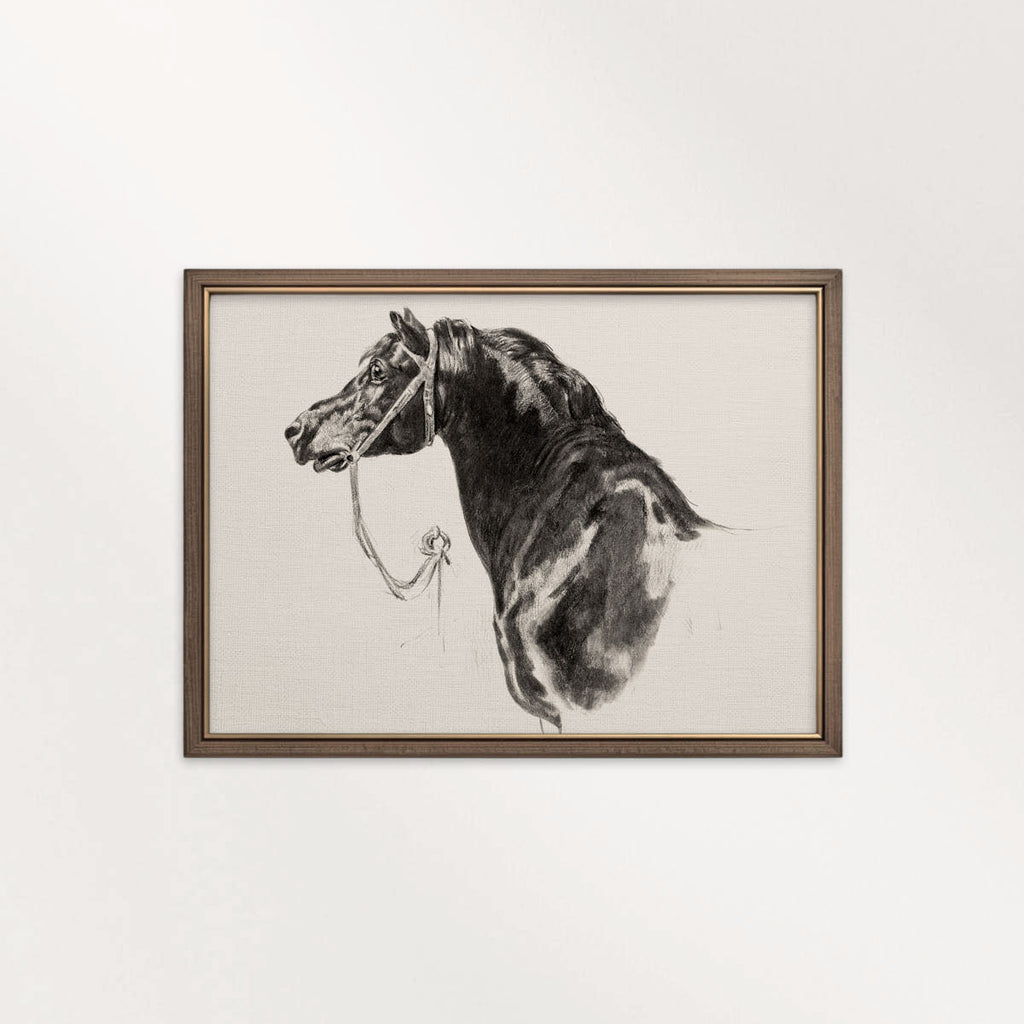 Black Horse Portrait Sketch Wall Art Printable – Antique Equestrian Study Illustration | Dark Academia Horse Decor Print