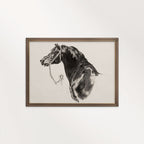 Black Horse Portrait Sketch Wall Art Printable – Antique Equestrian Study Illustration | Dark Academia Horse Decor Print