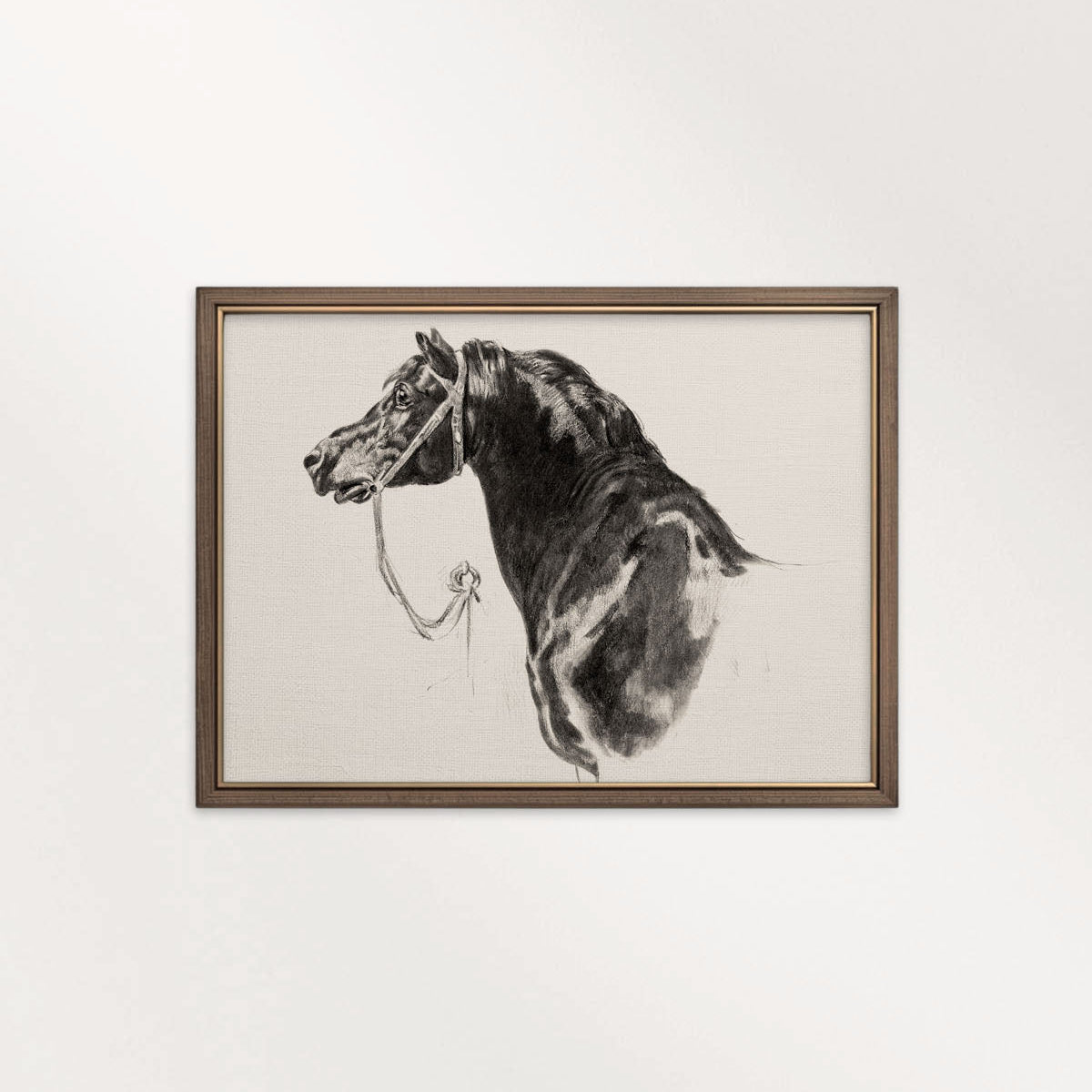 Black Horse Portrait Sketch Wall Art Printable – Antique Equestrian Study Illustration | Dark Academia Horse Decor Print