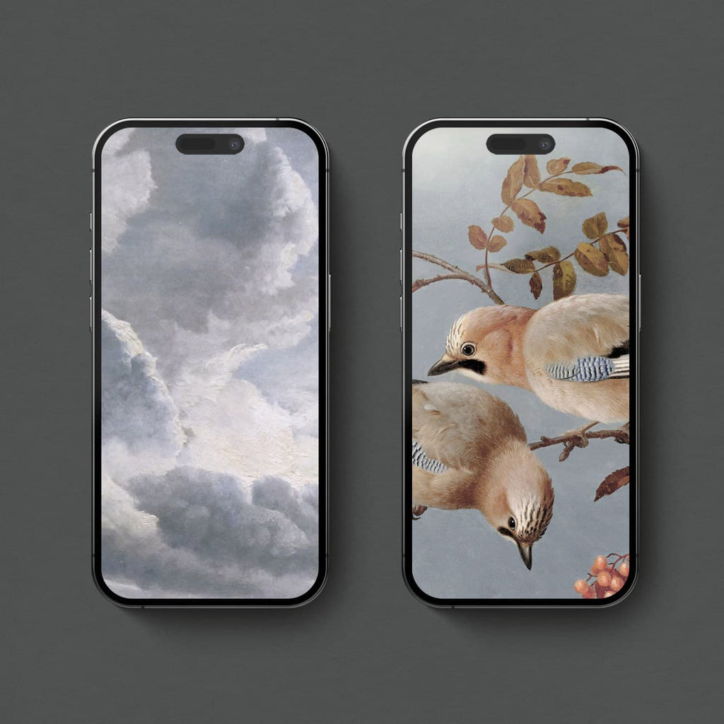 Set of 2 blue aesthetic iPhone wallpapers featuring dramatic vintage clouds and birds in soft blue grey tones