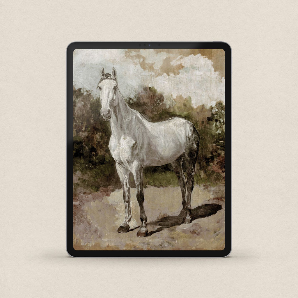 Boho White Horse iPhone & iPad Wallpaper Set (Digital Download)