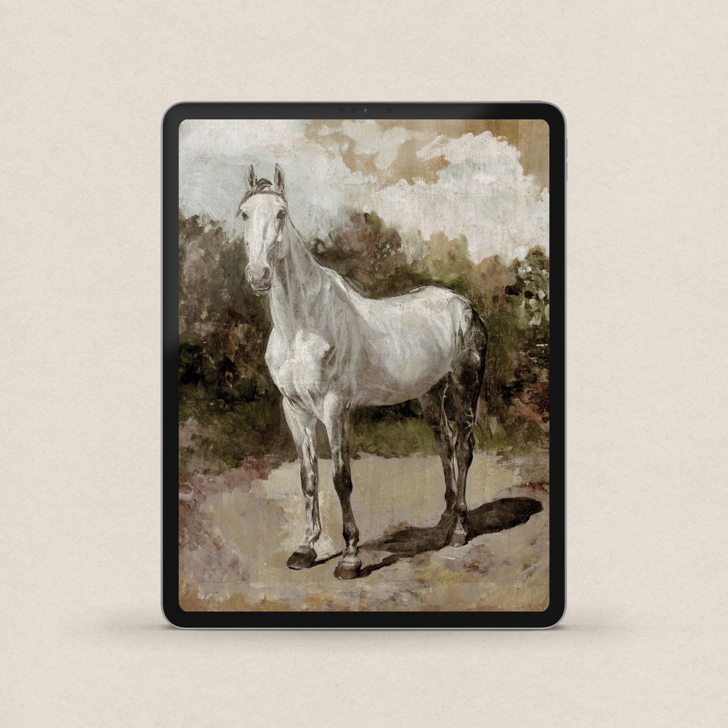 Boho White Horse iPhone & iPad Wallpaper Set (Digital Download)