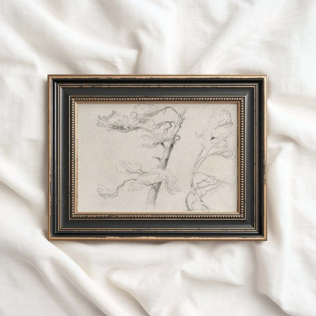 Windblown Pine Tree Wall Art Printable | Antique Minimal Pencil Sketch Print