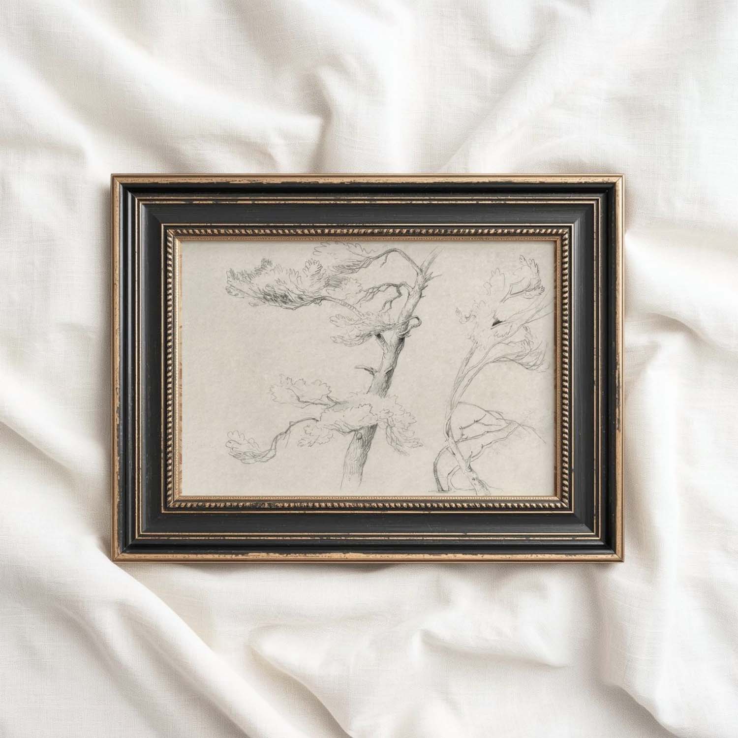 Windblown Pine Tree Wall Art Printable | Antique Minimal Pencil Sketch Print
