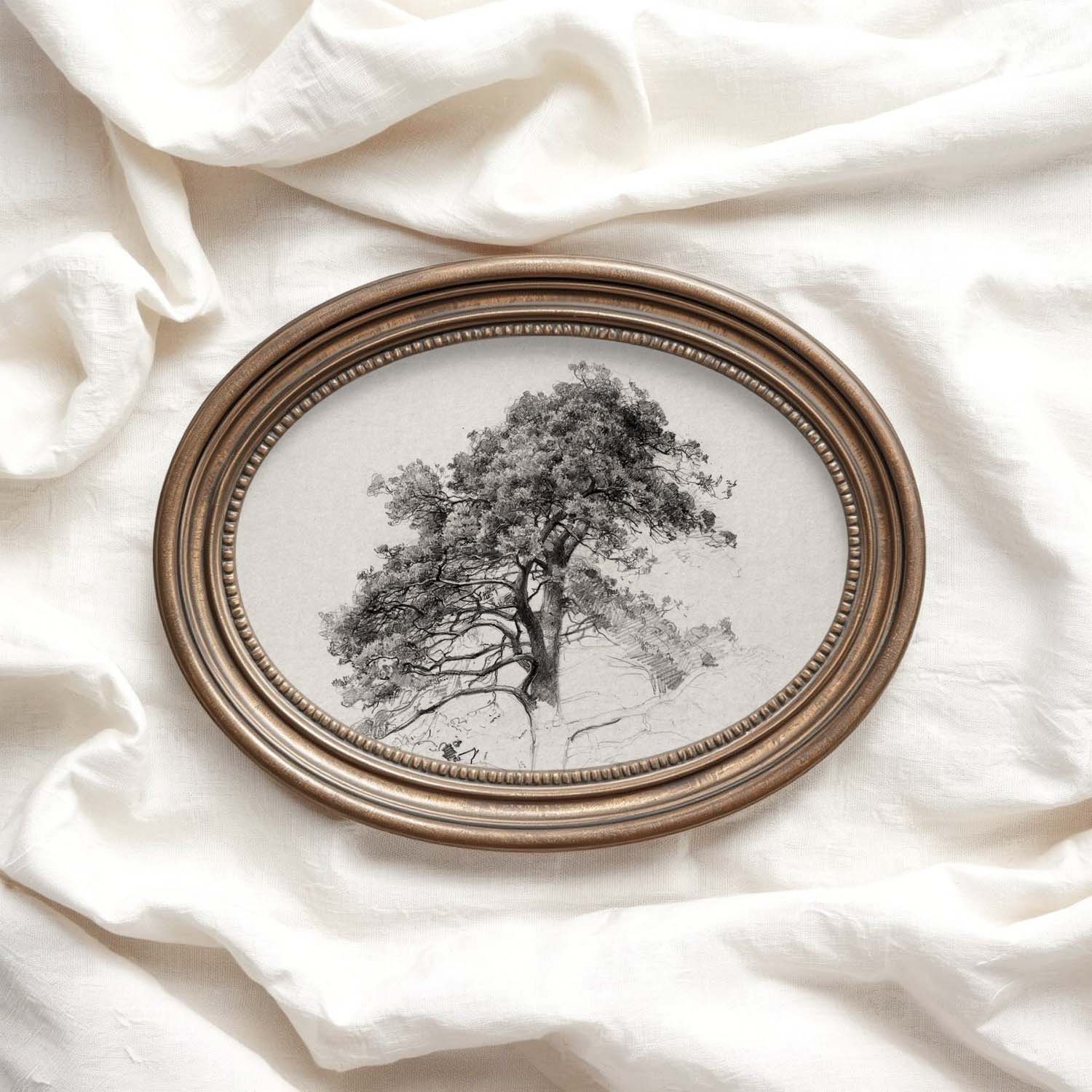 Antique Pine Tree Wall Art Printable | Minimal Botanical Pencil Sketch Print
