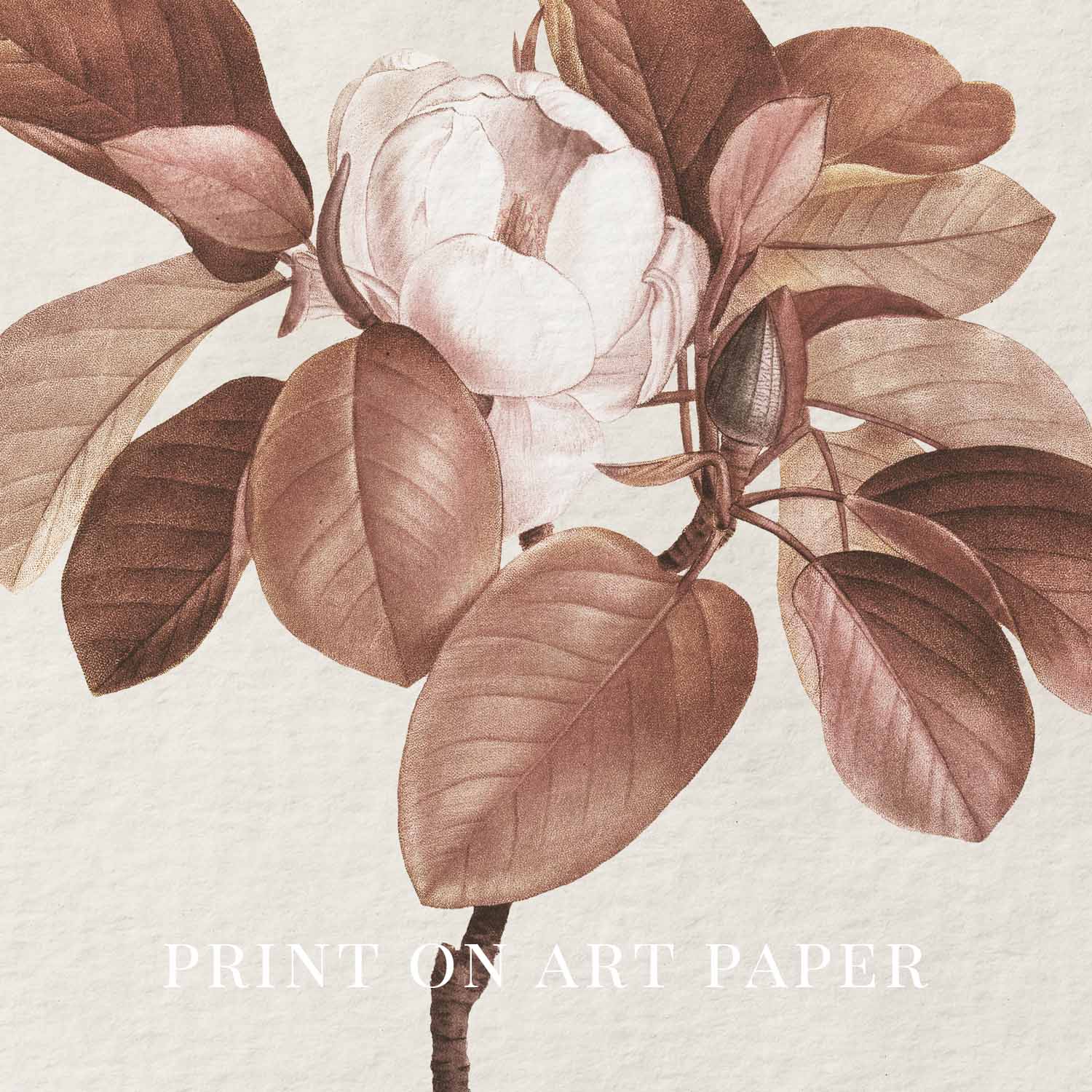 Burgundy Rose Botanical Wall Art Print Digital Download – Moody Vintage Wine Floral Printable Wall Art