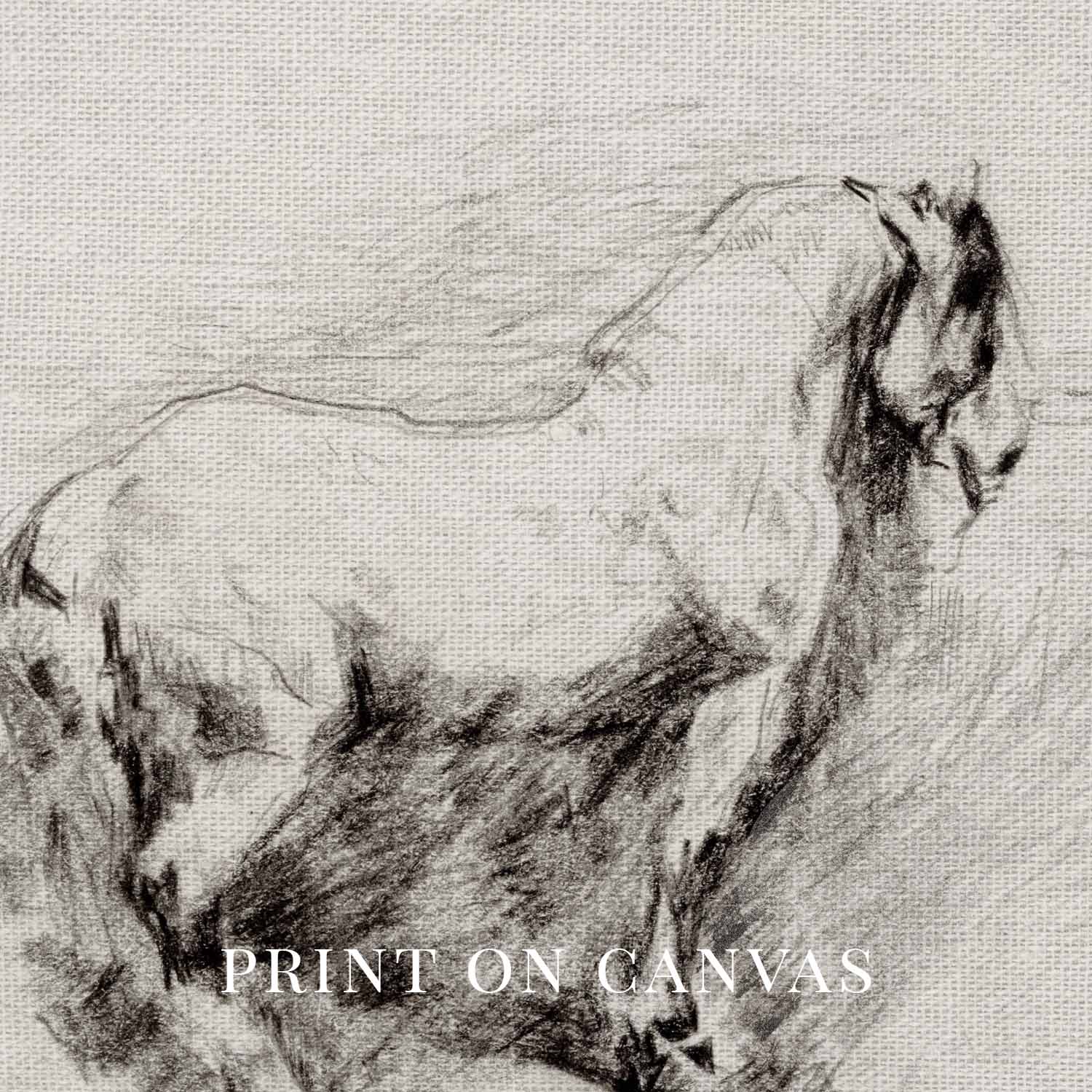 Horse on Hillside Wall Art Printable | Antique Equestrian Pencil Sketch