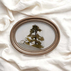 Minimal Rustic Sequoia Tree Printable Wall Art