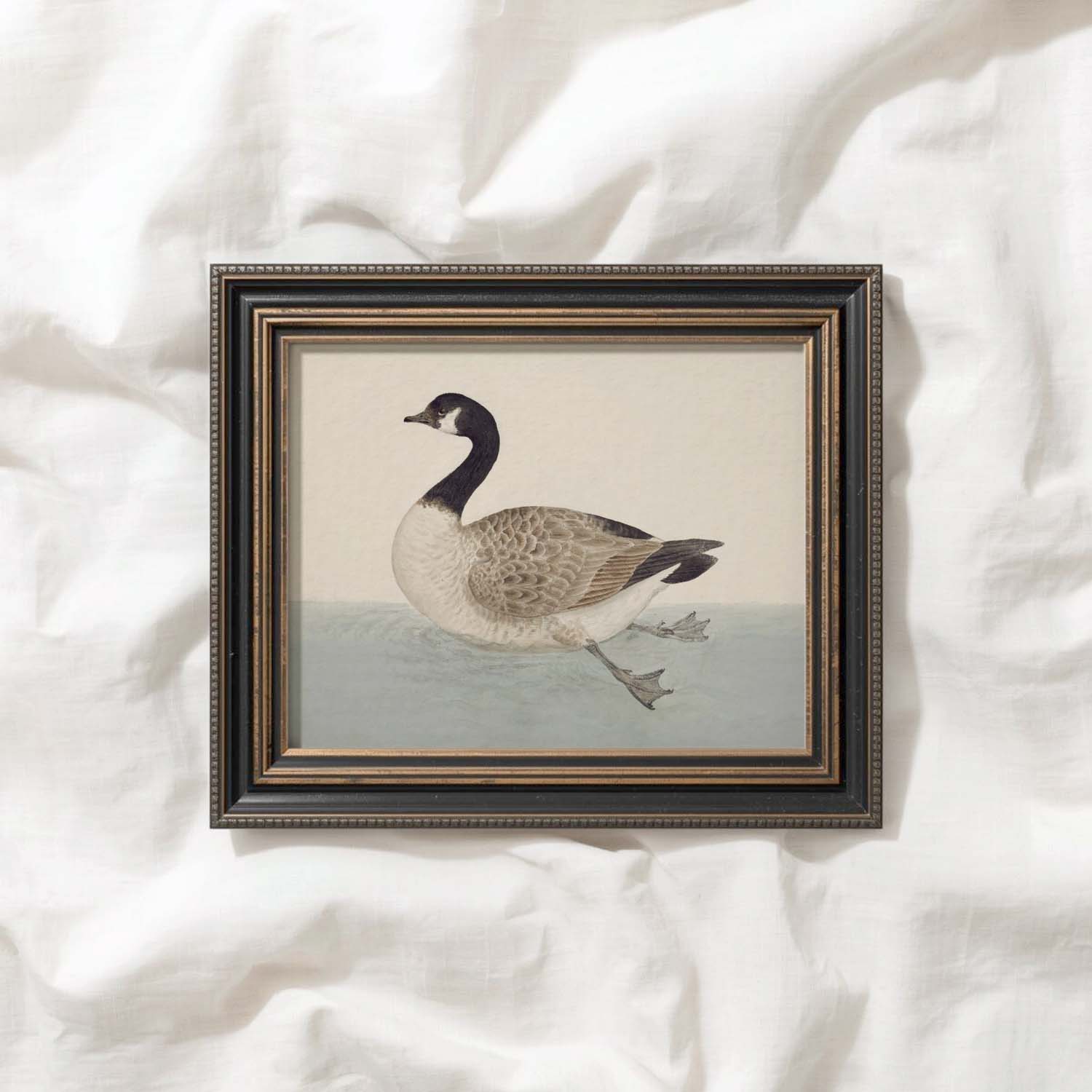 Canadian Goose Vintage Bird Print Digital Download (Muted Blue White Antique Waterfowl Wall Art)