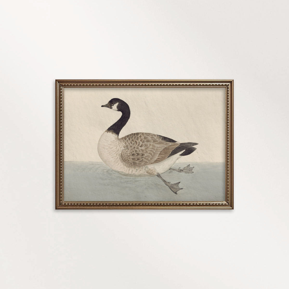 Canadian Goose Vintage Bird Print Digital Download (Muted Blue White Antique Waterfowl Wall Art)