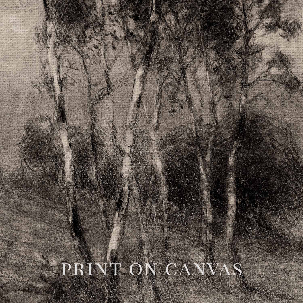 Charcoal Birch Tree Wall Art Printable | Minimal Black Forest Sketch Print