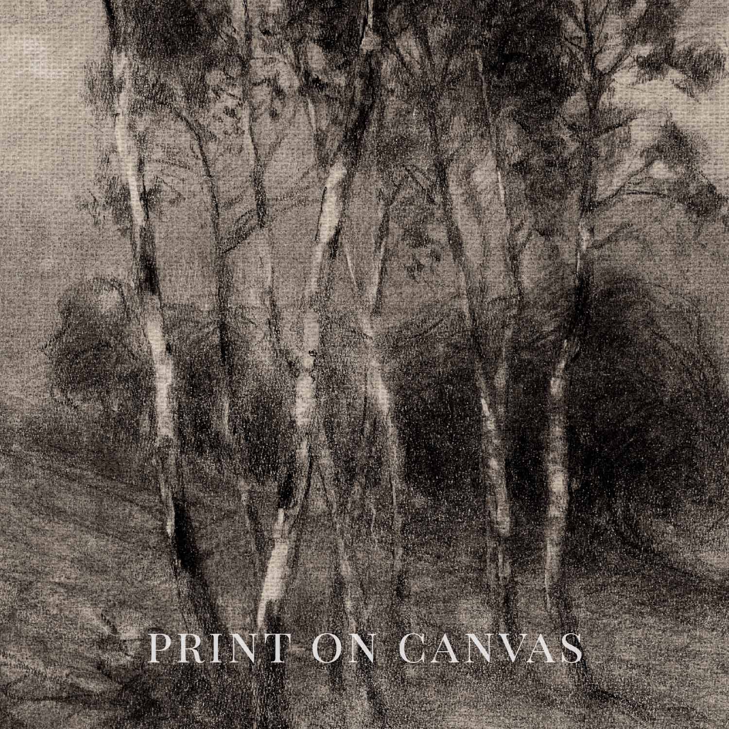 Charcoal Birch Tree Wall Art Printable | Minimal Black Forest Sketch Print