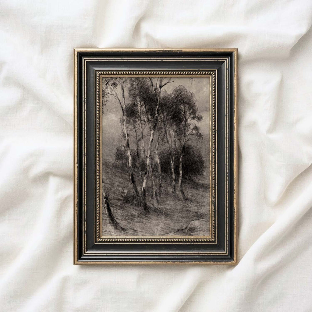 Charcoal Birch Tree Wall Art Printable | Minimal Black Forest Sketch Print
