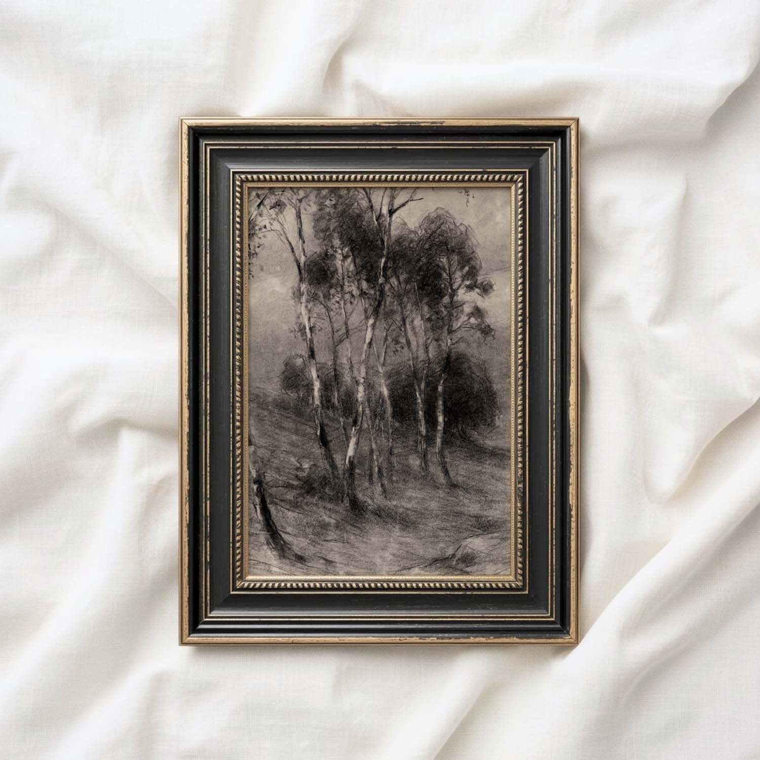 Charcoal Birch Tree Wall Art Printable | Minimal Black Forest Sketch Print