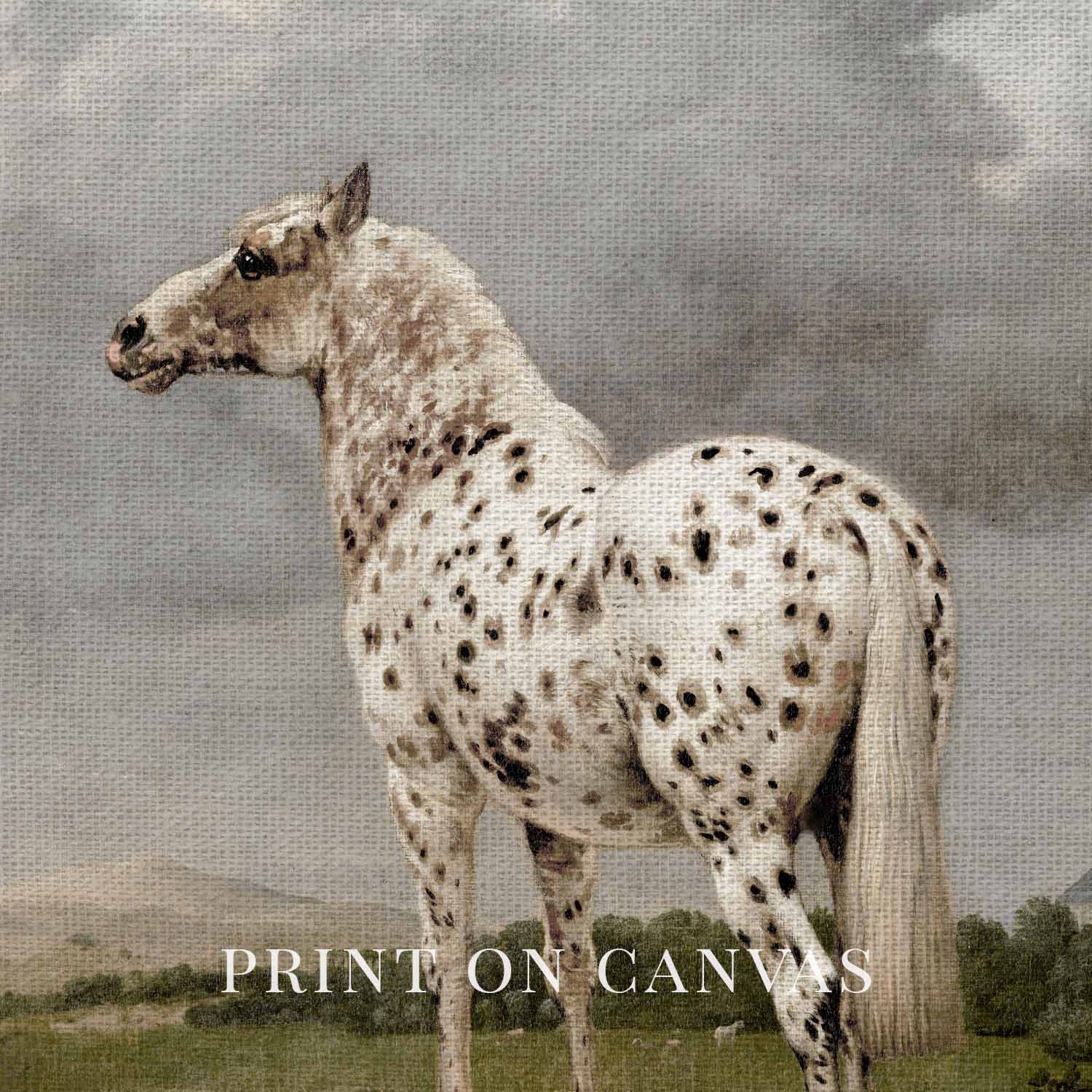 Vertical Black & White Horse Wall Art Printable (Classic English Equestrian Portrait)