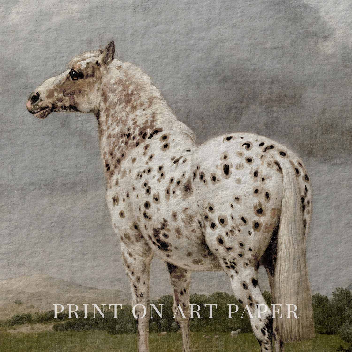 Vertical Black & White Horse Wall Art Printable (Classic English Equestrian Portrait)