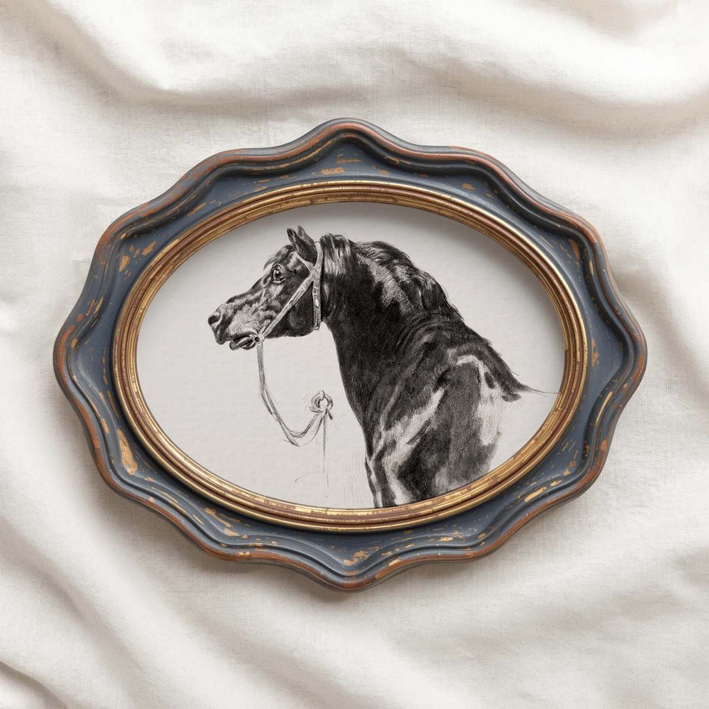 Black Horse Portrait Sketch Wall Art Printable – Antique Equestrian Study Illustration | Dark Academia Horse Decor Print