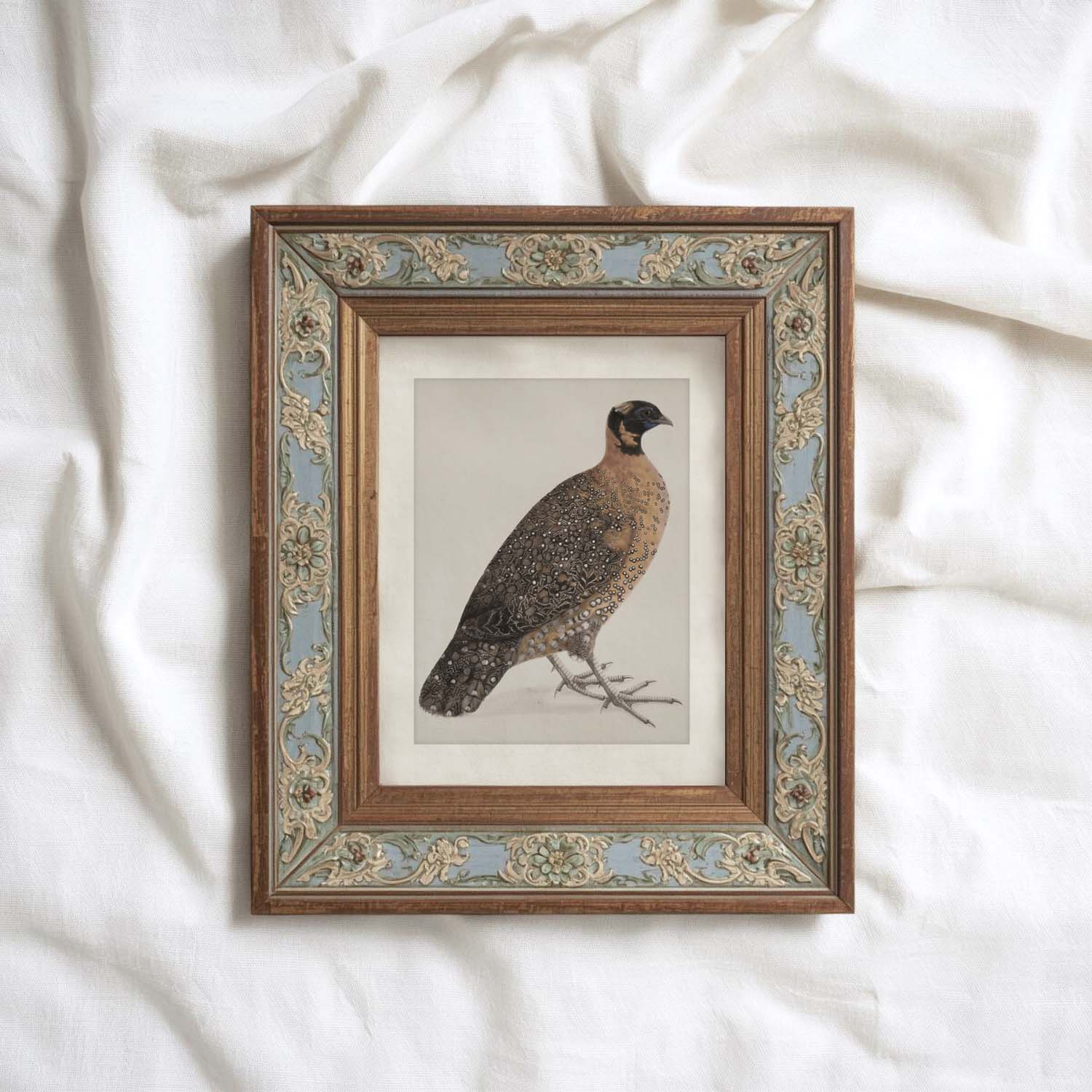 Guinea Fowl Bird Print Digital Download (Antique Ornithology Farmhouse Wall Art)