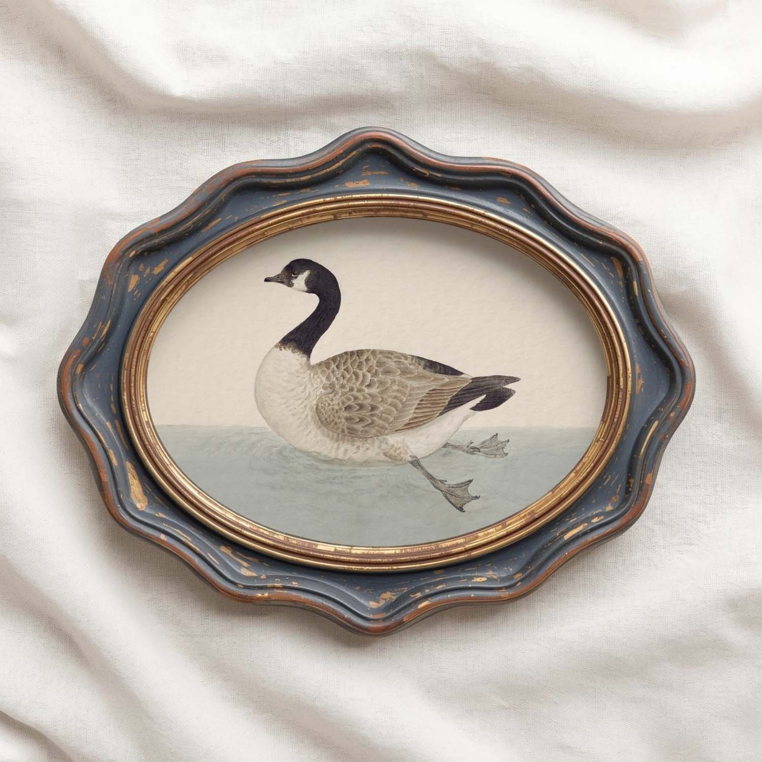 Canadian Goose Vintage Bird Print Digital Download (Muted Blue White Antique Waterfowl Wall Art)