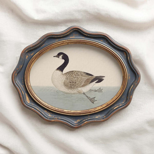 Canadian Goose Vintage Bird Print Digital Download (Muted Blue White Antique Waterfowl Wall Art)