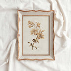 Muted Orange Tiger Lily Wall Art Print (Digital Download)