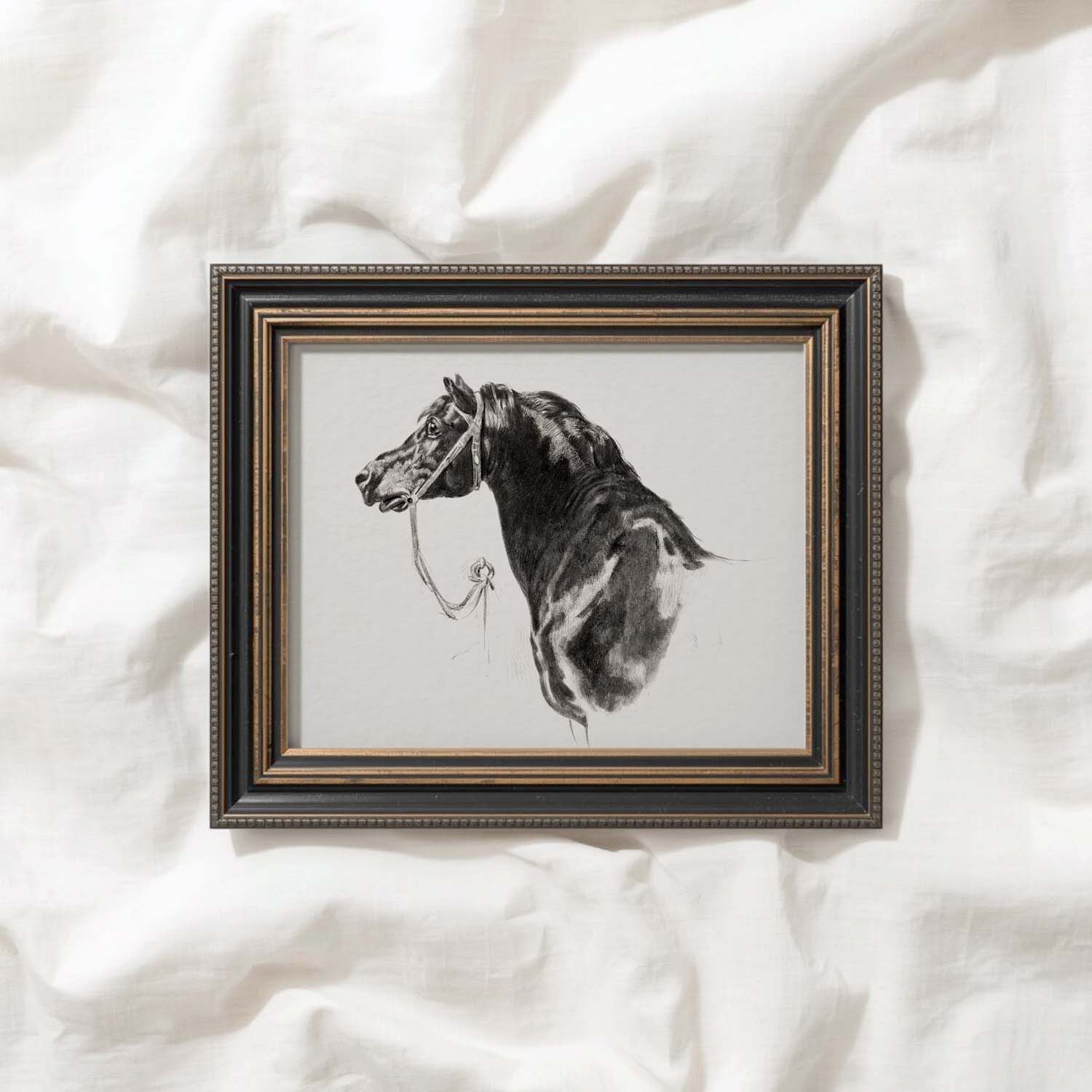 Black Horse Portrait Sketch Wall Art Printable – Antique Equestrian Study Illustration | Dark Academia Horse Decor Print