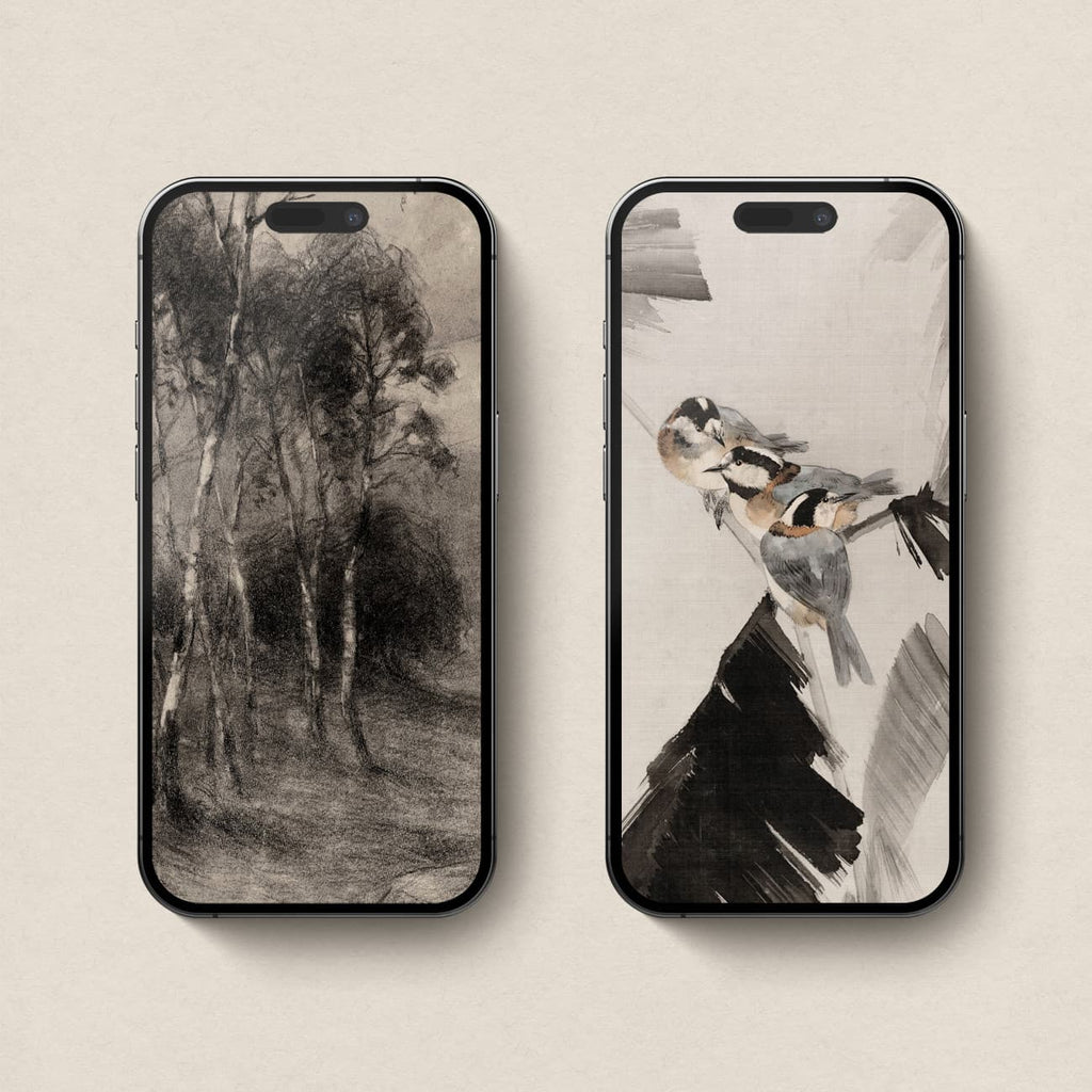 Dark academia iPhone wallpapers featuring a charcoal woodland landscape and vintage birds with black brushwork