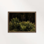 Dark Forest Ferns vintage botanical oil painting featuring deep green moody fern foliage and rich forest tones.