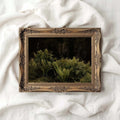 Dark Forest Ferns vintage oil painting wall art featuring rich green botanical foliage and moody forest tones.