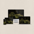 Dark Forest Ferns vintage botanical wallpaper bundle shown for iPhone, iPad, MacBook, and desktop screens.