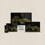 Dark Forest Ferns vintage botanical wallpaper bundle shown for iPhone, iPad, MacBook, and desktop screens.