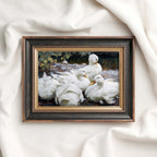 Five White Ducks Bird Print Digital Download (Antique Farmhouse Oil Painting Wall Art)